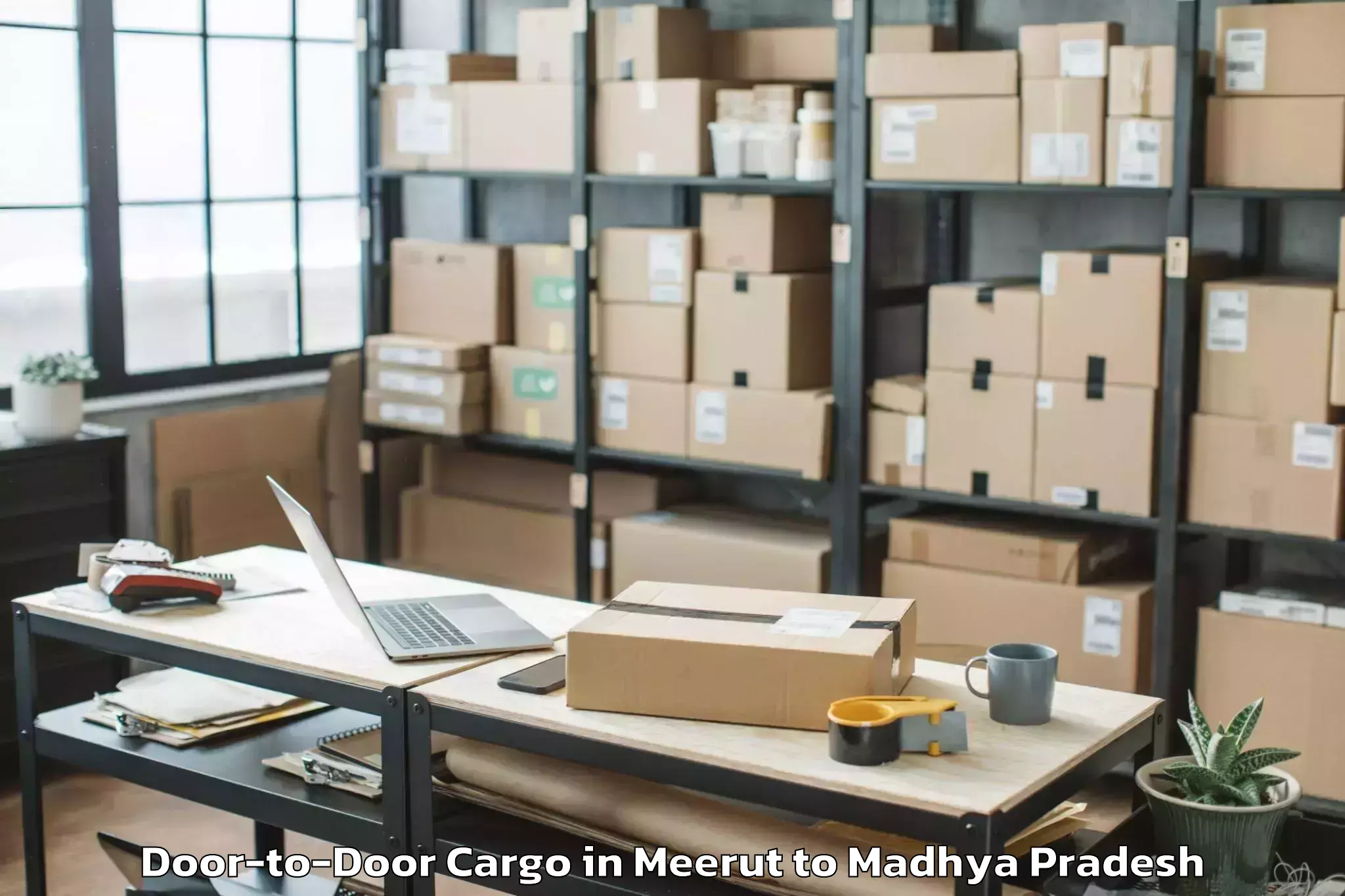 Leading Meerut to Vit Bhopal University Bhopal Door To Door Cargo Provider